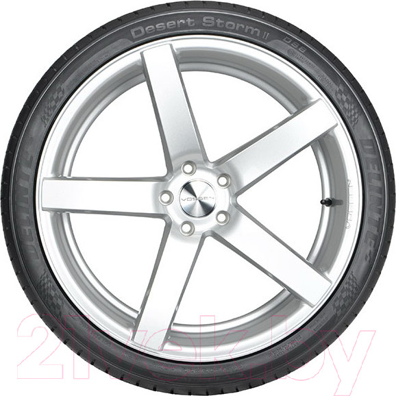 Изображение товара Летняя шина Delinte DS8 315/35R20 110W