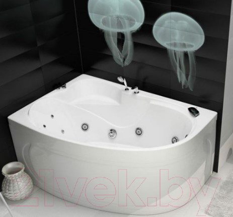 Изображение товара Ванна акриловая Triton Николь 160x100 R Люкс (с гидромассажем)