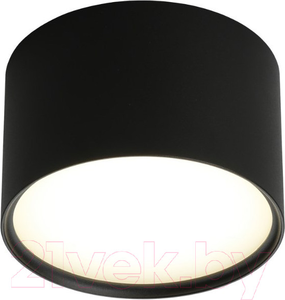 Изображение товара Потолочный светильник Omnilux Salentino OML-100919-06