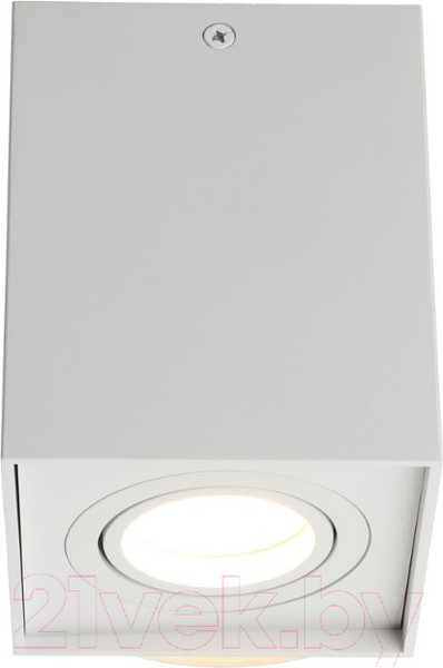 Изображение товара Потолочный светильник Omnilux Feletto OML-101109-01