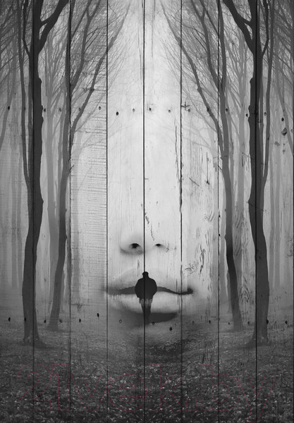 Изображение товара Картина White Wood B112-V-036-055-6.15