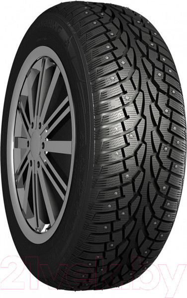 Изображение товара Зимняя шина Nankang SW7 225/55R17 101T (шипы)