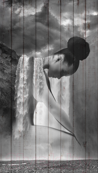 Изображение товара Картина White Wood B112-V-048-065-6.10