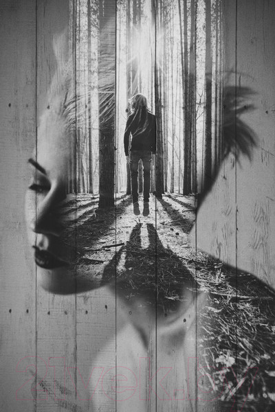 Изображение товара Картина White Wood B112-V-048-065-6.13