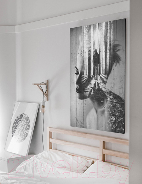 Изображение товара Картина White Wood B112-V-048-065-6.13