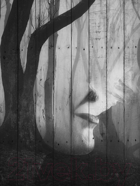 Изображение товара Картина White Wood B112-V-072-115-6.17