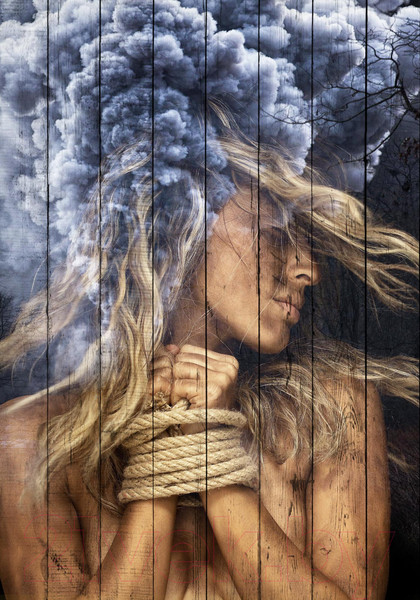 Изображение товара Картина White Wood B112-V-072-115-6.21