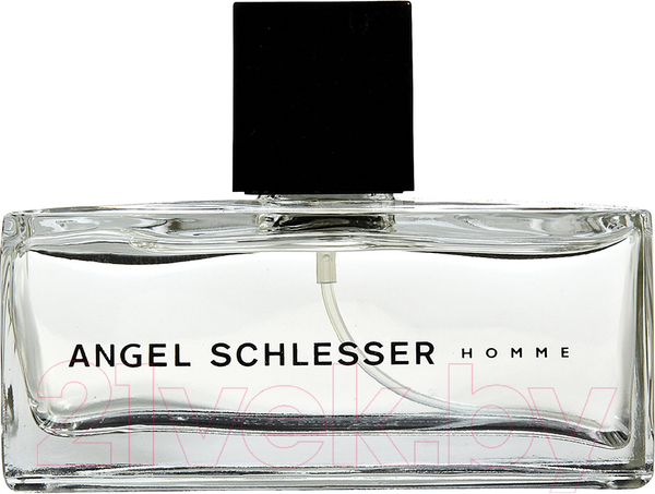 Изображение товара Туалетная вода Angel Schlesser Homme (125мл)