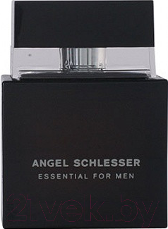 Изображение товара Туалетная вода Angel Schlesser Essential Men (50мл)