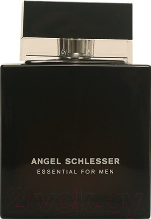 Изображение товара Туалетная вода Angel Schlesser Essential Men (100мл)