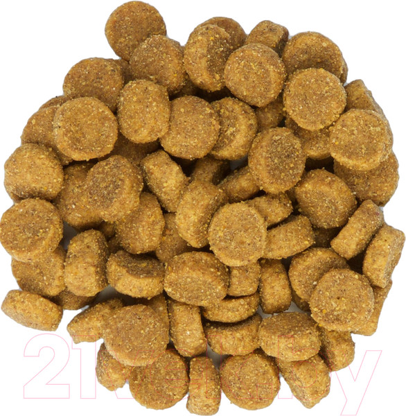 Изображение товара Сухой корм для кошек Hill's Science Plan Adult Optimal Care Chicken / 604059 (10кг)