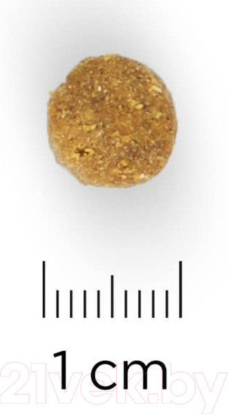 Изображение товара Сухой корм для кошек Hill's Science Plan Adult Optimal Care Chicken / 604059 (10кг)