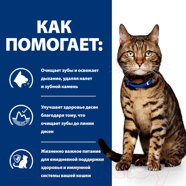 Изображение товара Сухой ветеринарный корм для кошек Hill's Prescription Diet Dental Care t/d Chicken (1.5кг)