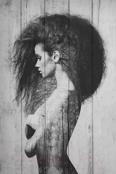 Изображение товара Картина White Wood B112-V-096-160-6.6