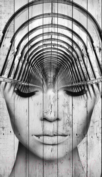 Изображение товара Картина White Wood B112-V-120-180-6.20