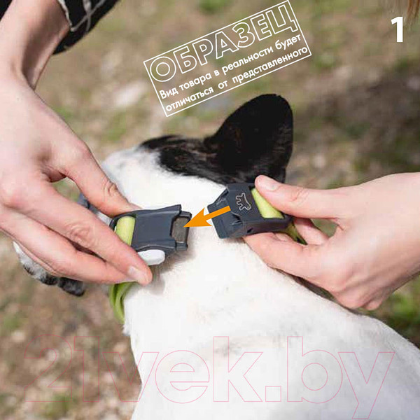 Изображение товара Ошейник Ferplast Evolution C16/44 / 78000491 (фиолетовый)