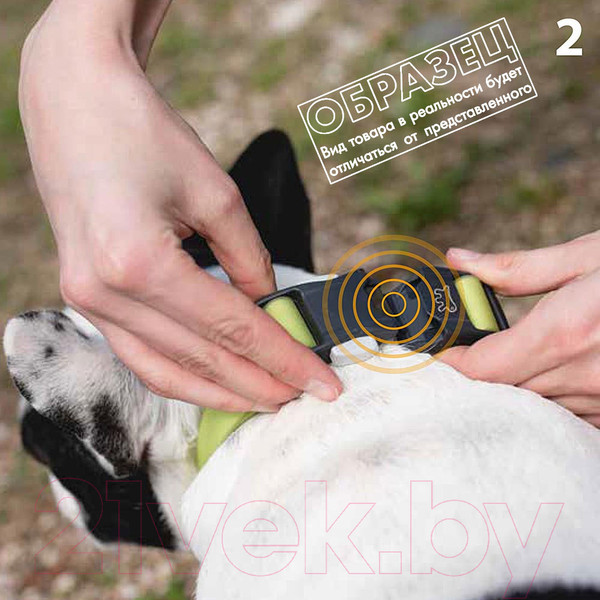 Изображение товара Ошейник Ferplast Evolution C16/44 / 78000491 (фиолетовый)