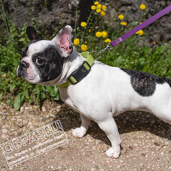 Изображение товара Ошейник Ferplast Evolution C16/44 / 78000491 (фиолетовый)