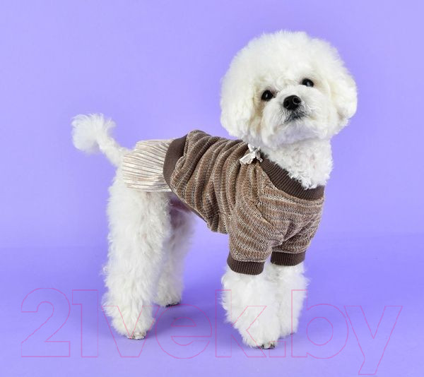 Изображение товара Свитер для животных Pinkaholic Elicia / NASD-TS7501-BE-S (бежевый)