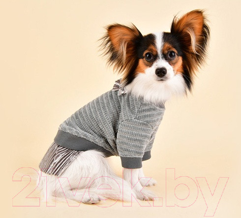 Изображение товара Свитер для животных Pinkaholic Elicia / NASD-TS7501-GY-S (серый)