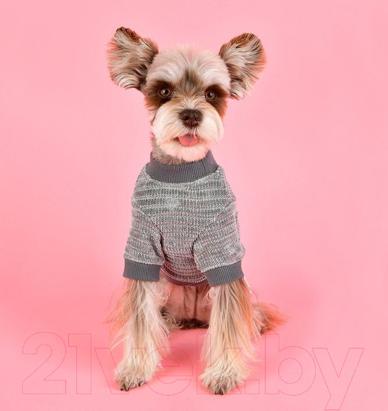 Изображение товара Свитер для животных Pinkaholic Elicia / NASD-TS7501-GY-S (серый)