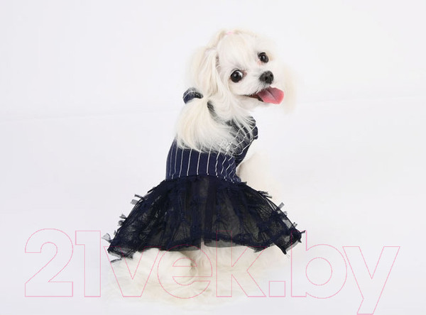 Изображение товара Толстовка для животных Pinkaholic Vida NASA-OP7407-NY-S (синий)