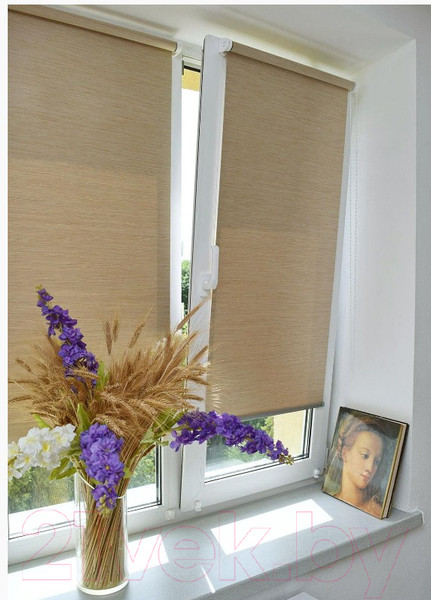 Изображение товара Рулонная штора Delfa Сантайм Премиум Prado СРШ-01МП 322504 (57x170, ясень)