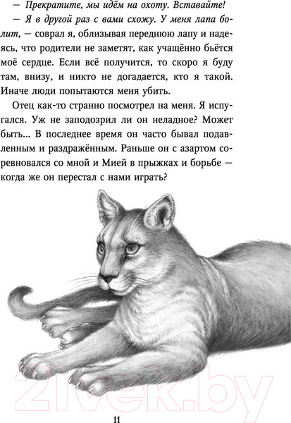 Изображение товара Художественная книга Эксмо Дети леса. Тайна Холли (Брандис К.)