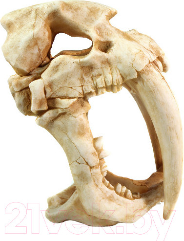 Изображение товара Декорация для аквариума Deksi Череп динозавра №1005