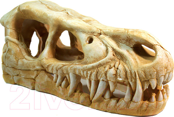 Изображение товара Декорация для аквариума Deksi Череп динозавра №1004