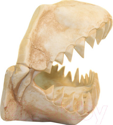 Изображение товара Декорация для аквариума Deksi Череп динозавра №1003