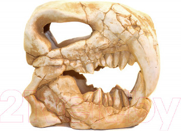 Изображение товара Декорация для аквариума Deksi Череп динозавра №1002