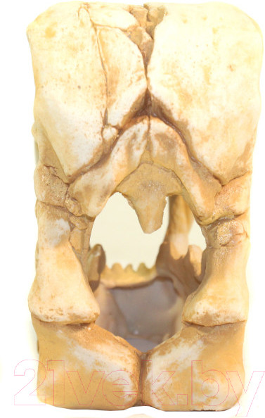 Изображение товара Декорация для аквариума Deksi Череп динозавра №1002
