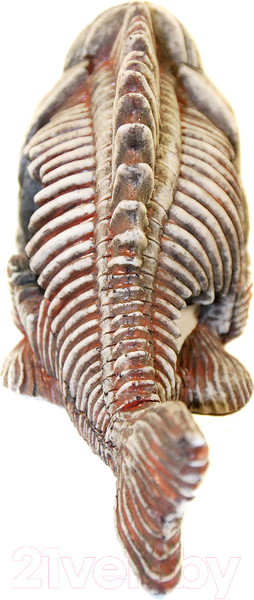 Изображение товара Декорация для аквариума Deksi Скелет рыбы №904