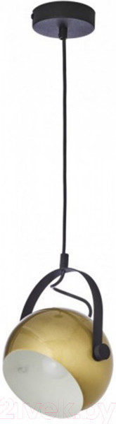 Изображение товара Потолочный светильник TK Lighting TKP4151