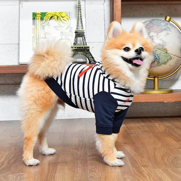 Изображение товара Футболка для животных Puppia Jalen с капюшоном / PATA-TS1724-NY-M (синий)