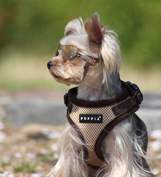 Изображение товара Шлея-жилетка для животных Puppia Ritefit Harness / PAJA-AC617-BE-XL (бежевый)