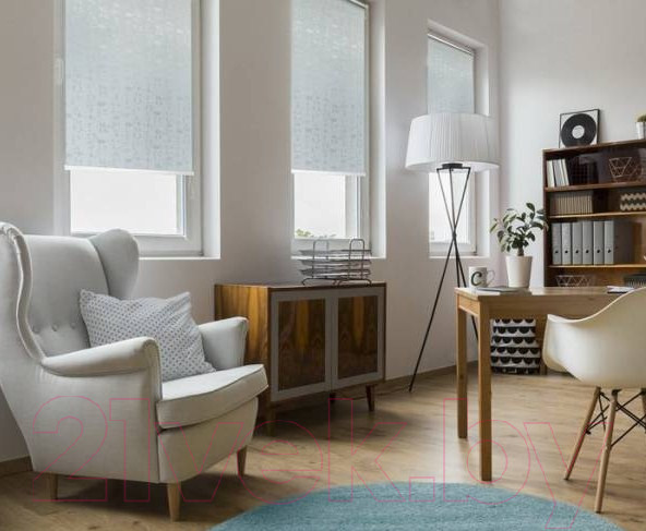 Изображение товара Рулонная штора Delfa Сантайм Азия Термо-Блэкаут СРШ-01МП 75104 (115x170, серый)