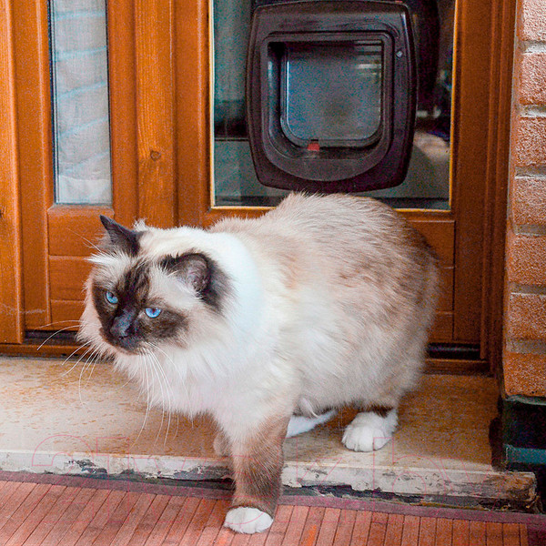 Изображение товара Электронная дверца для животных Ferplast Swing Microchip / 72090011 (белый)