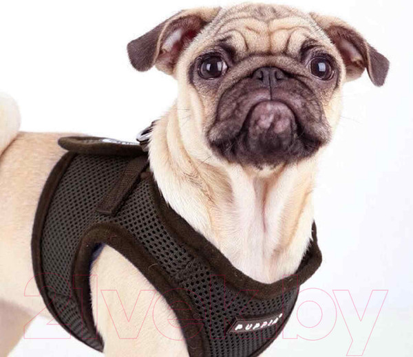 Изображение товара Шлея-жилетка для животных Puppia Soft Vest / PAHA-AH305-BK-L (черный)