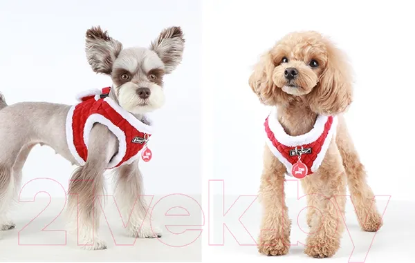 Изображение товара Шлея-жилетка для животных Puppia Blitzen-B / PAQD-AH1470-RD-S (красный)