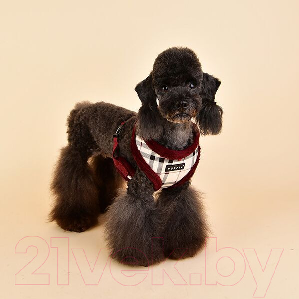 Изображение товара Шлея-жилетка для животных Puppia Dean Harness A / PASD-HA1657-BE-XL (бежевый)