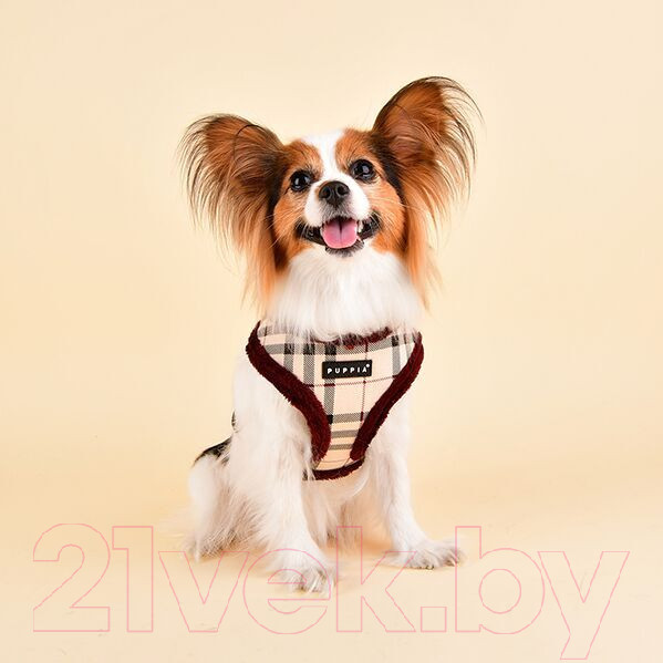Изображение товара Шлея-жилетка для животных Puppia Dean Harness A / PASD-HA1657-BE-XL (бежевый)