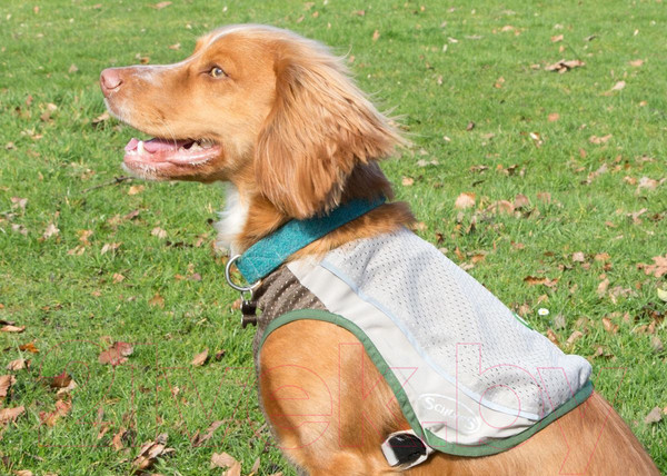 Изображение товара Жилетка для животных Scruffs Insect Shield / 937058 (M)