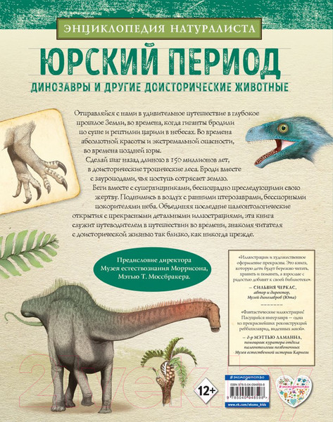 Изображение товара Энциклопедия Эксмо Юрский период. Динозавры и другие доисторические животные (Асонсо Х.)