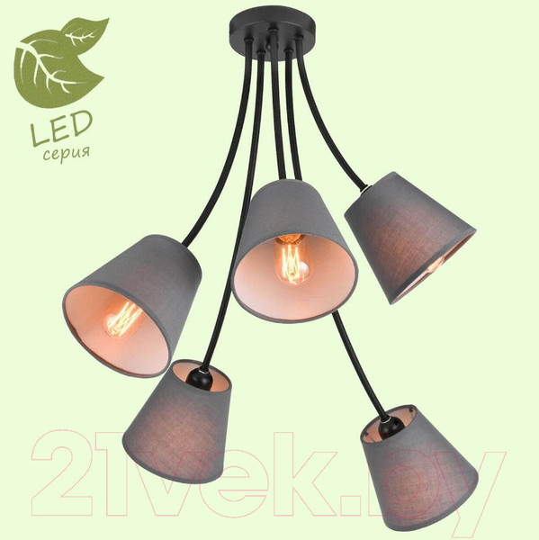 Изображение товара Люстра Lussole Lgo Lafayette GRLSP-8266