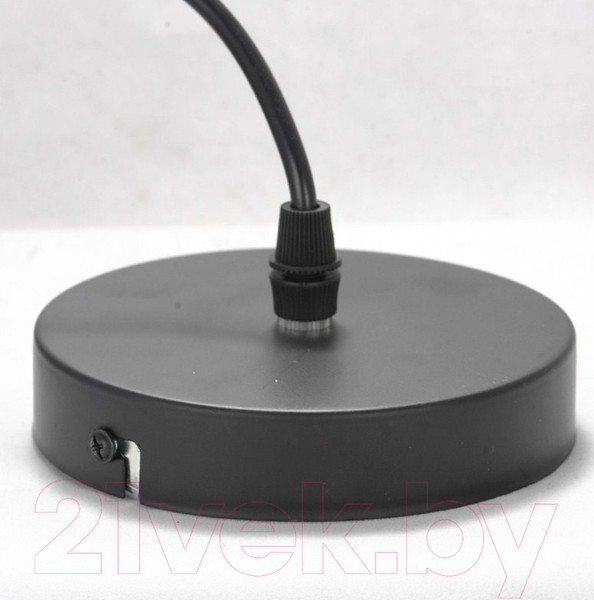 Изображение товара Потолочный светильник Lussole LGO Bossier GRLSP-8273