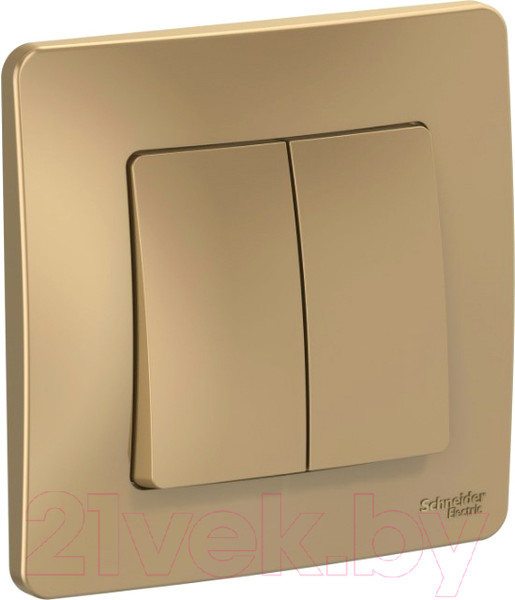 Изображение товара Выключатель Systeme (Schneider) Electric Blanca BLNVS010504