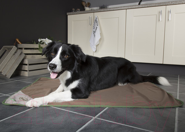 Изображение товара Подстилка для животных Scruffs Insect Shield / 937287