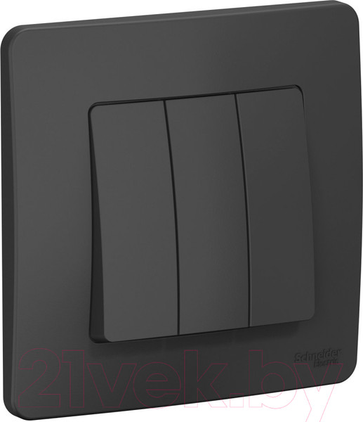 Изображение товара Выключатель Systeme (Schneider) Electric Blanca BLNVS100506